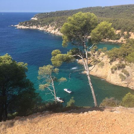 Sanary Sur Mer Appartement 30M2 T2 Avec Terrasse Piscine 10Min A Pied De La Plage Dış mekan fotoğraf