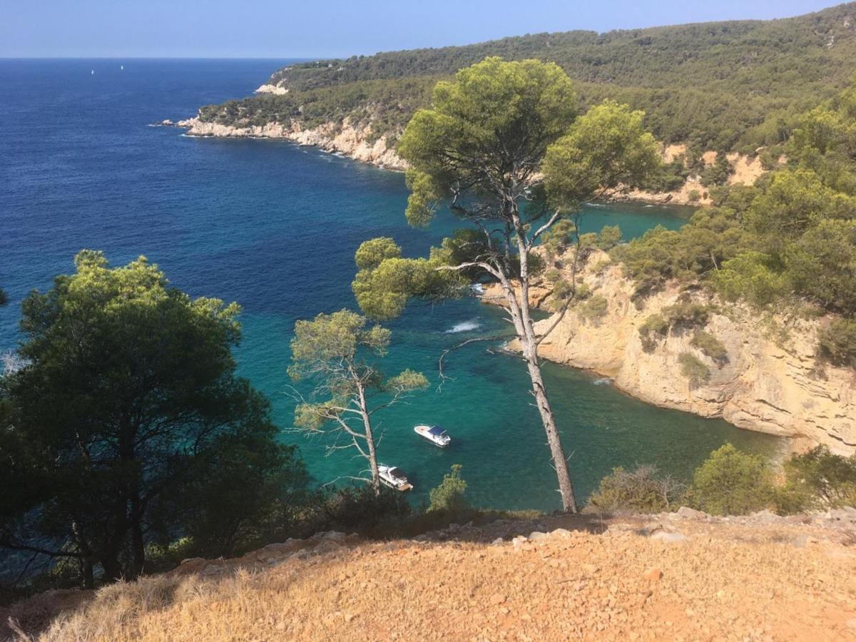 Sanary Sur Mer Appartement 30M2 T2 Avec Terrasse Piscine 10Min A Pied De La Plage Dış mekan fotoğraf